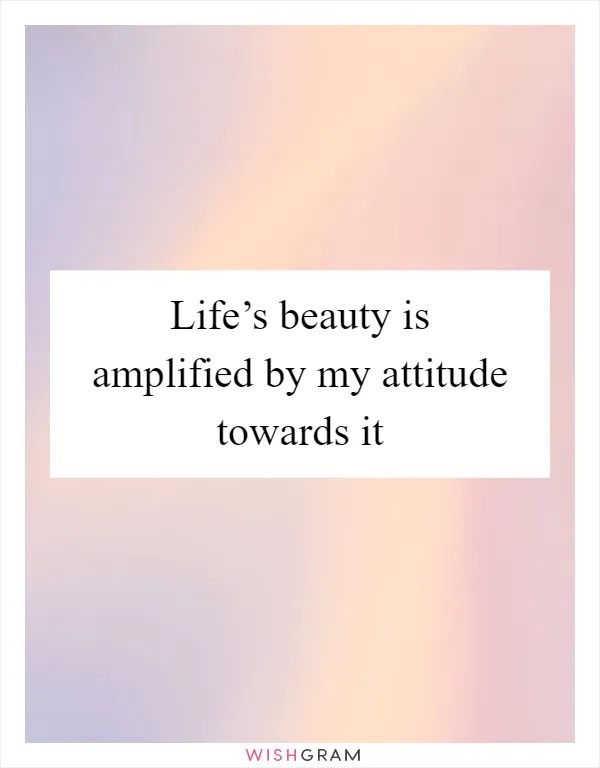 Life’s beauty is amplified by my attitude towards it