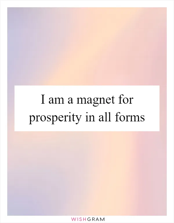 I am a magnet for prosperity in all forms