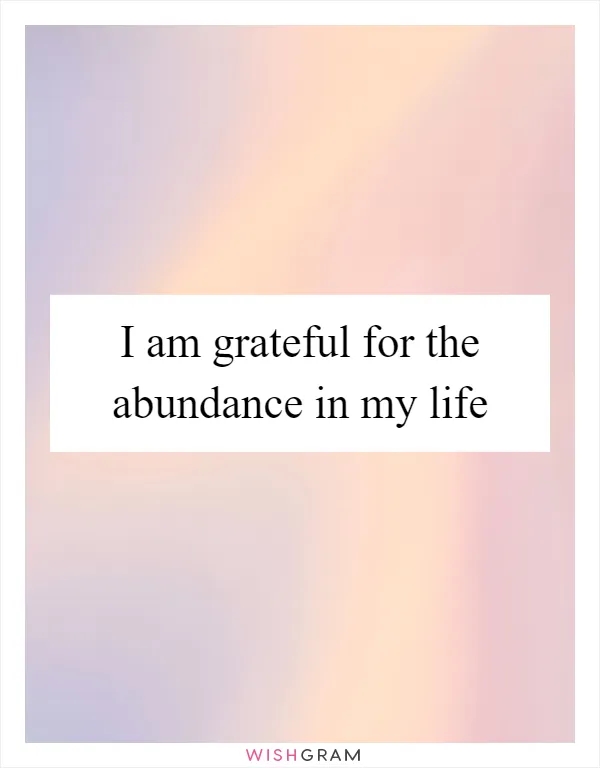 I am grateful for the abundance in my life