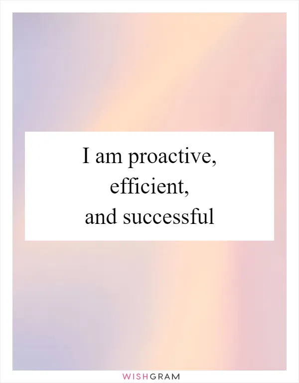 I am proactive, efficient, and successful