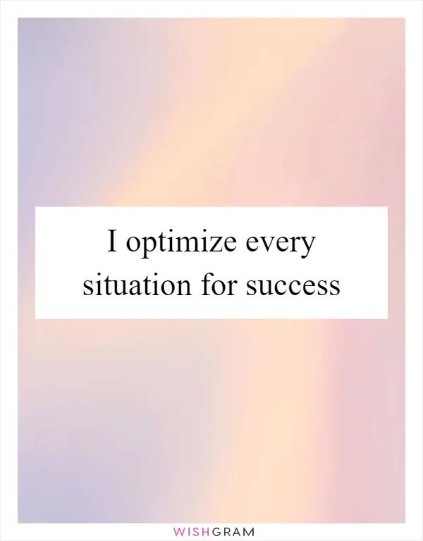 I optimize every situation for success