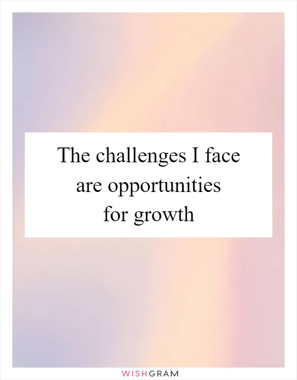 The challenges I face are opportunities for growth