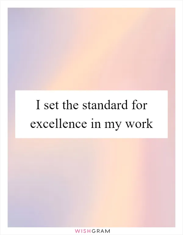 I set the standard for excellence in my work