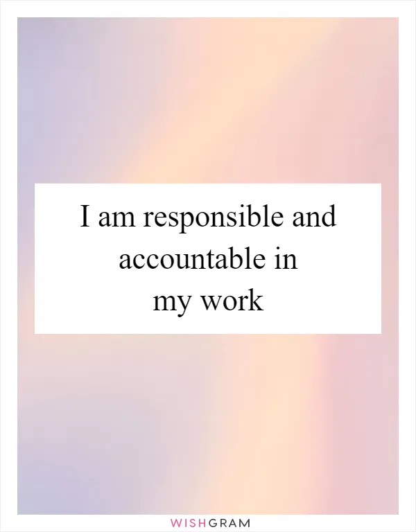 I am responsible and accountable in my work