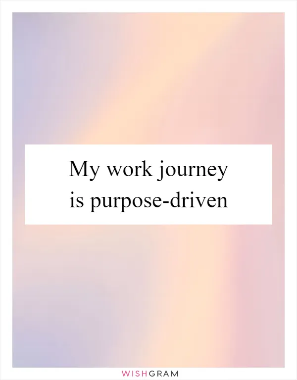 My work journey is purpose-driven
