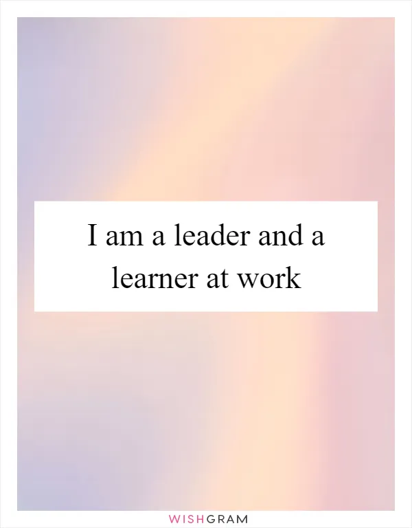 I am a leader and a learner at work