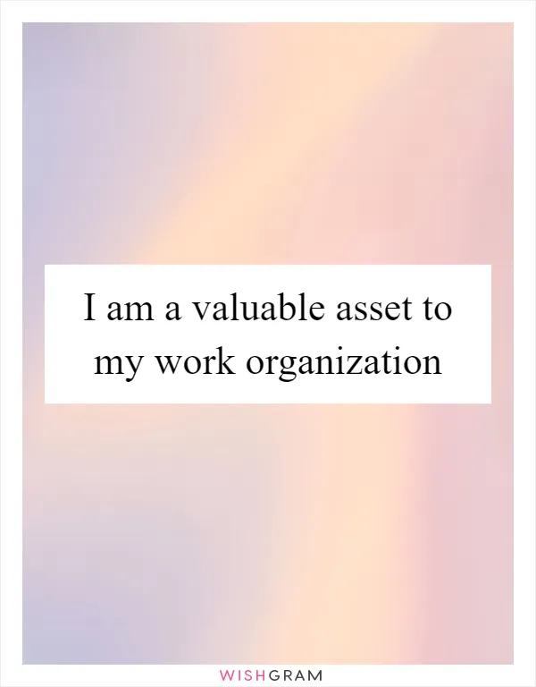 I am a valuable asset to my work organization