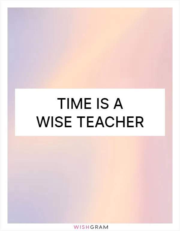 Time is a wise teacher