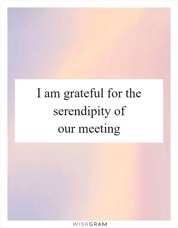I am grateful for the serendipity of our meeting