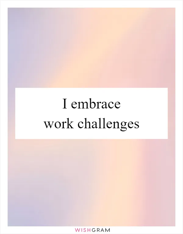 I embrace work challenges