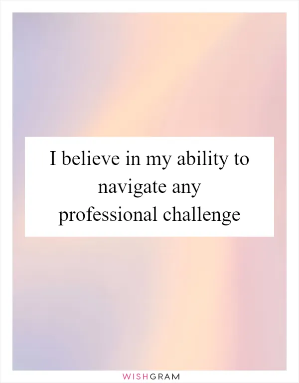 I believe in my ability to navigate any professional challenge
