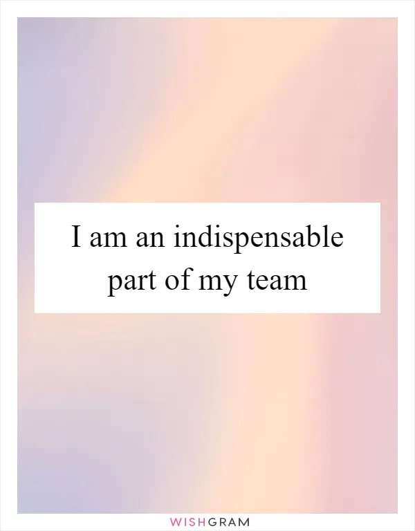 I am an indispensable part of my team