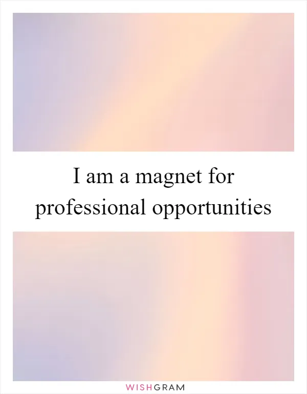 I am a magnet for professional opportunities