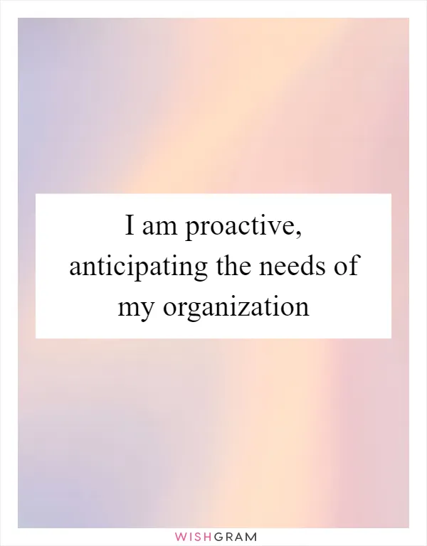 I am proactive, anticipating the needs of my organization