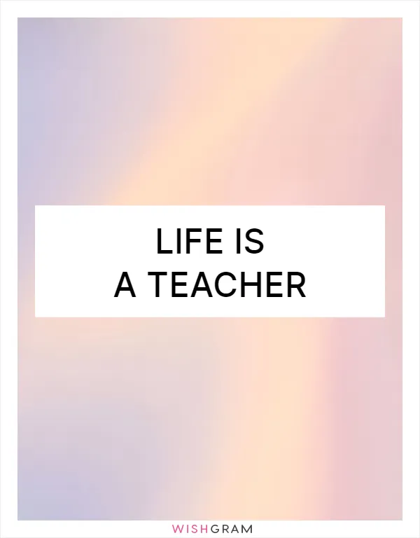 Life is a teacher