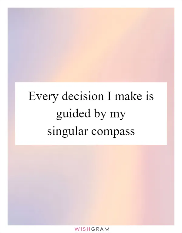 Every decision I make is guided by my singular compass