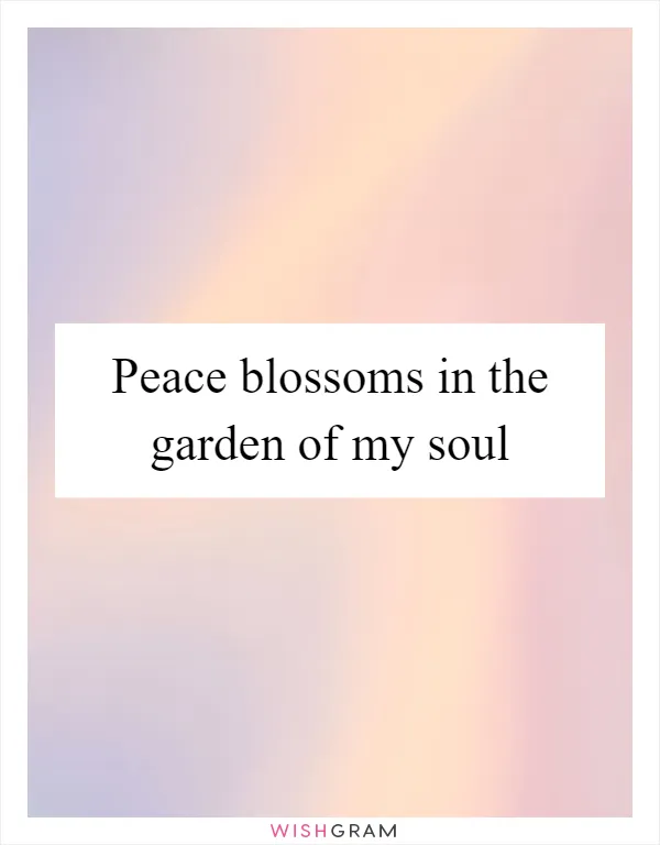 Peace blossoms in the garden of my soul