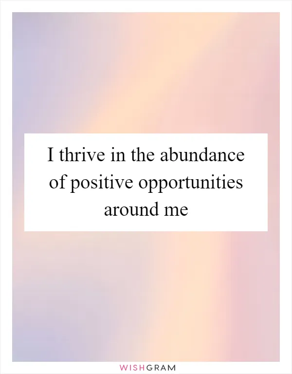 I thrive in the abundance of positive opportunities around me