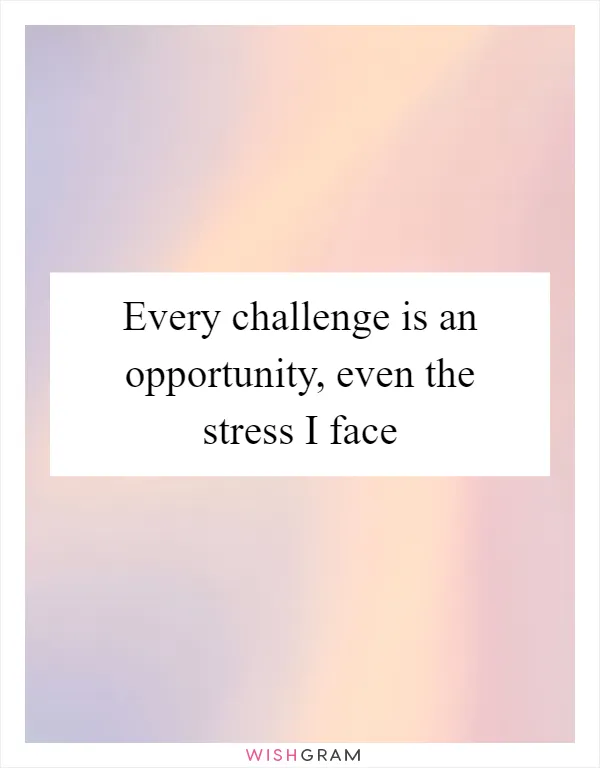 Every challenge is an opportunity, even the stress I face