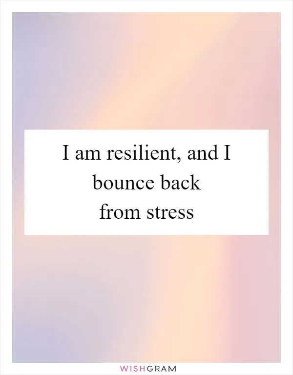 I am resilient, and I bounce back from stress