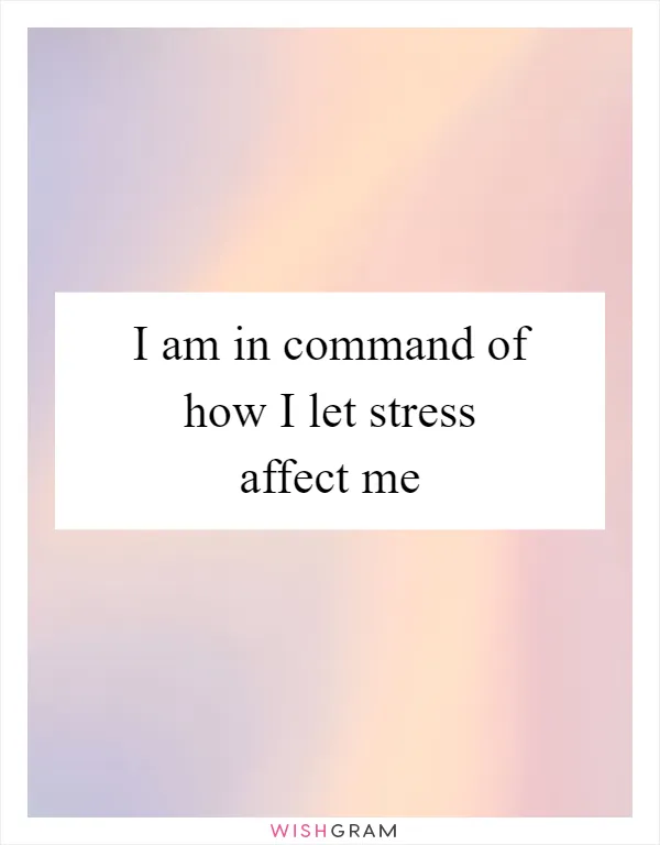 I am in command of how I let stress affect me