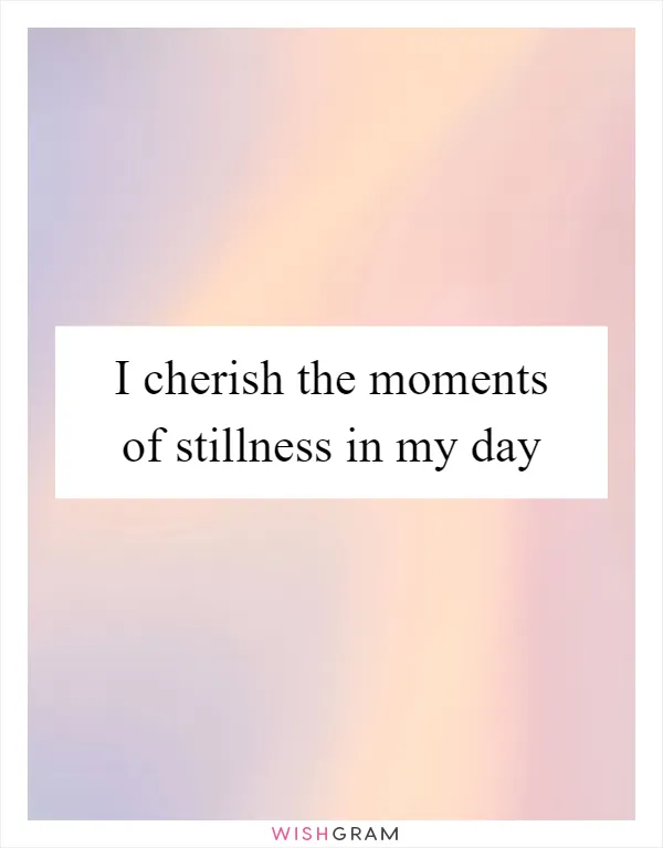 I cherish the moments of stillness in my day