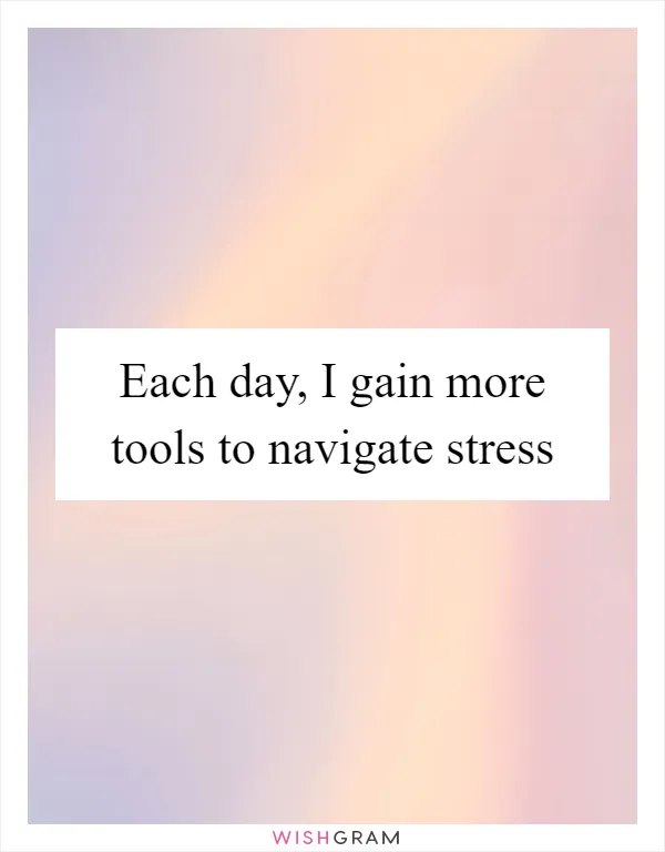 Each day, I gain more tools to navigate stress