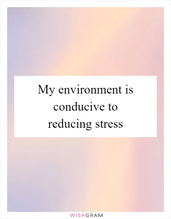 My environment is conducive to reducing stress