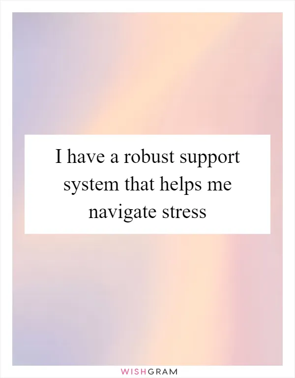 I have a robust support system that helps me navigate stress