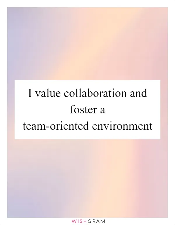 I value collaboration and foster a team-oriented environment