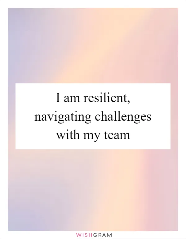 I am resilient, navigating challenges with my team