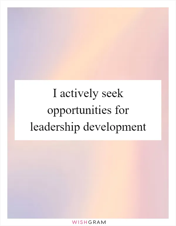 I actively seek opportunities for leadership development