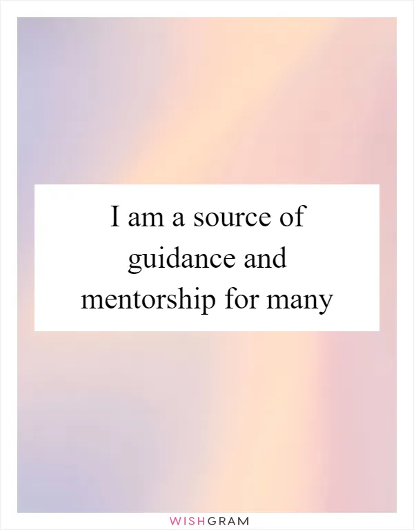 I am a source of guidance and mentorship for many