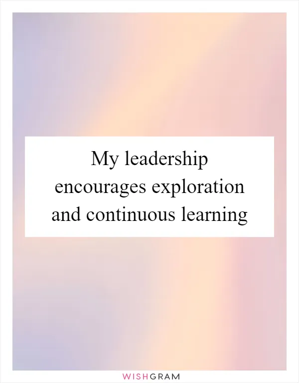 My leadership encourages exploration and continuous learning