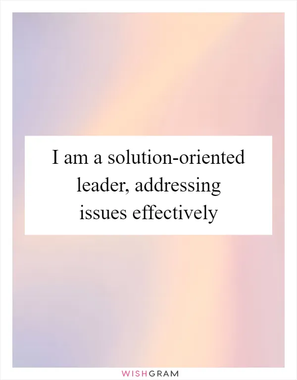 I am a solution-oriented leader, addressing issues effectively