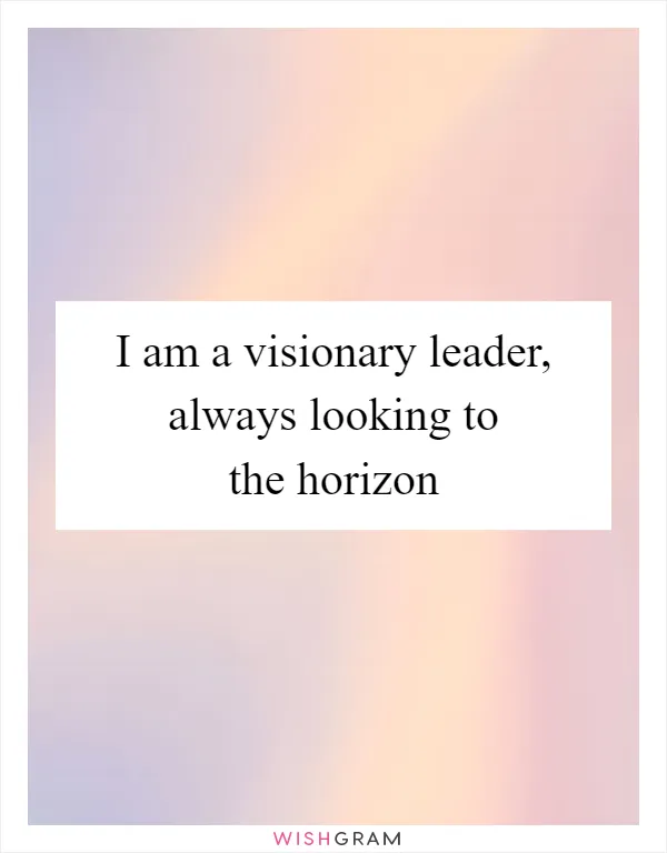 I am a visionary leader, always looking to the horizon