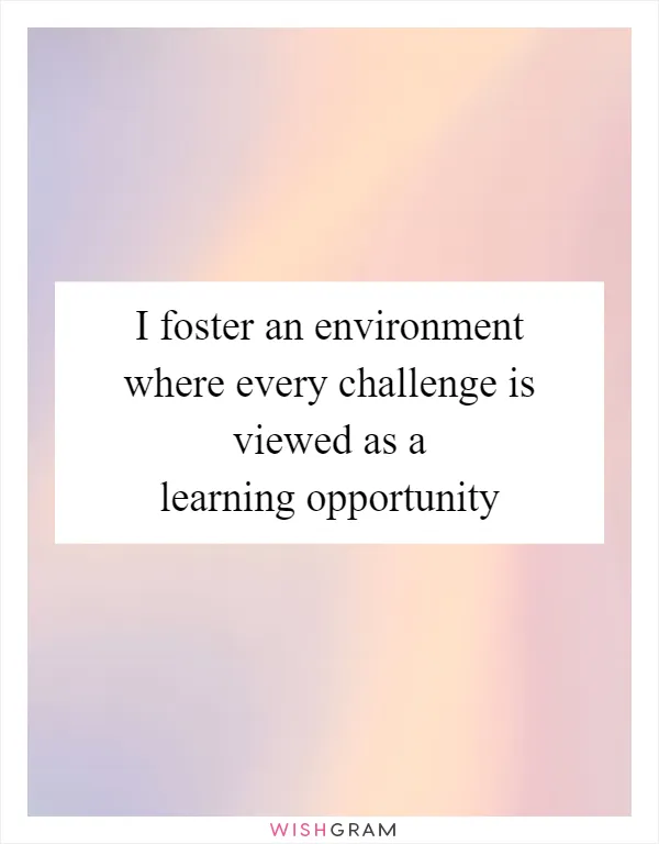 I foster an environment where every challenge is viewed as a learning opportunity