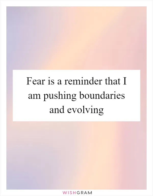 Fear is a reminder that I am pushing boundaries and evolving