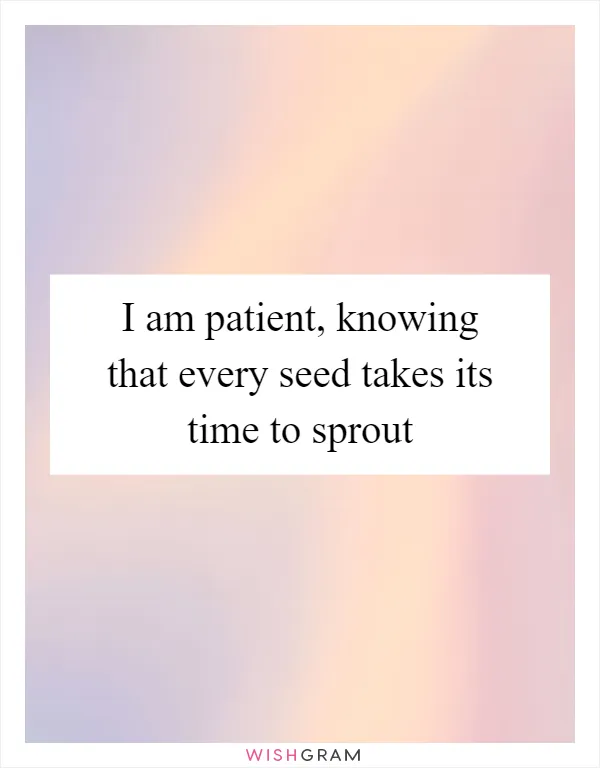 I am patient, knowing that every seed takes its time to sprout