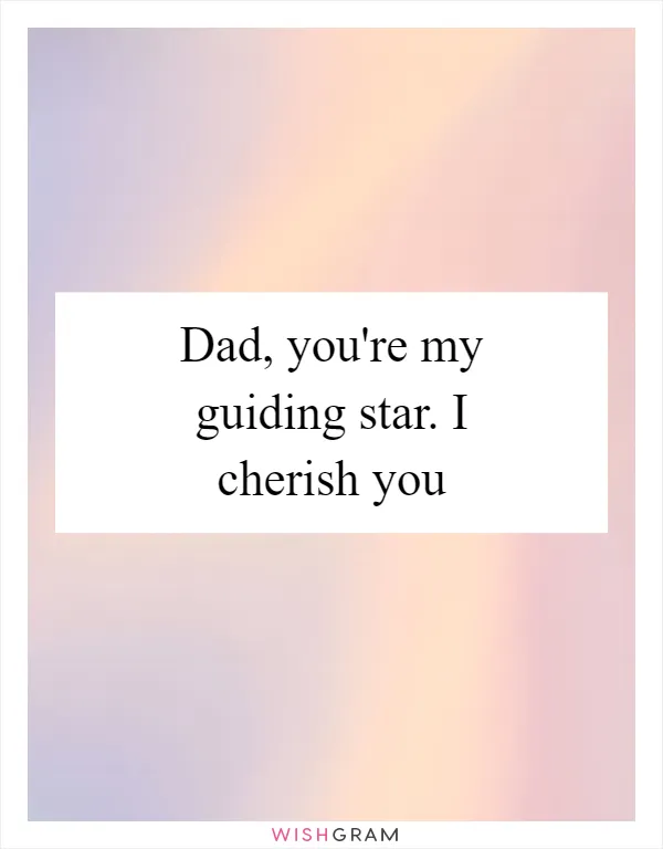 Dad, you're my guiding star. I cherish you