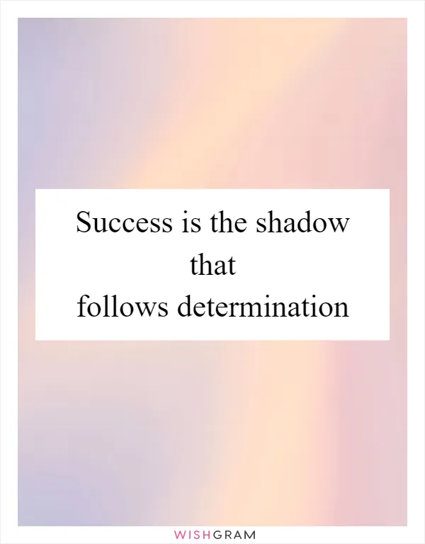 Success is the shadow that follows determination