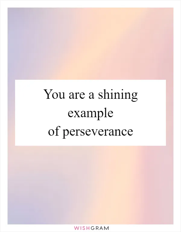 You are a shining example of perseverance