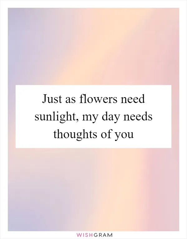 Just as flowers need sunlight, my day needs thoughts of you