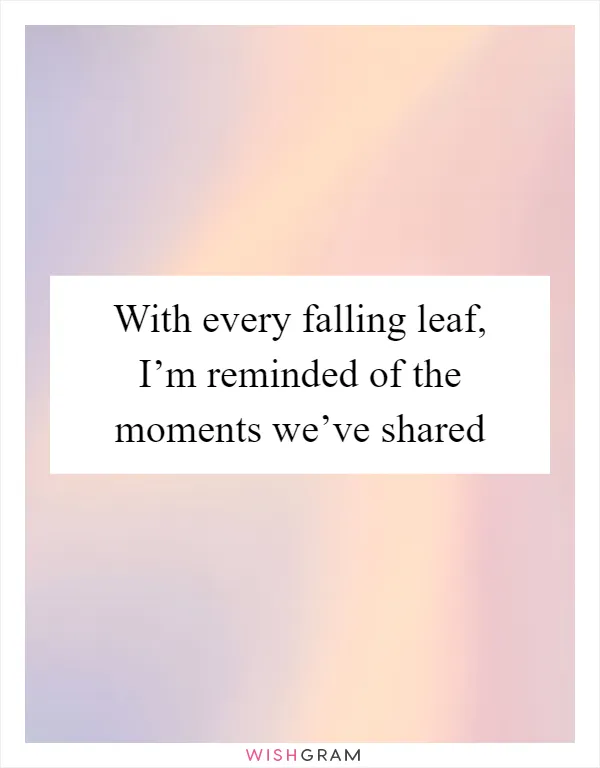 With every falling leaf, I’m reminded of the moments we’ve shared