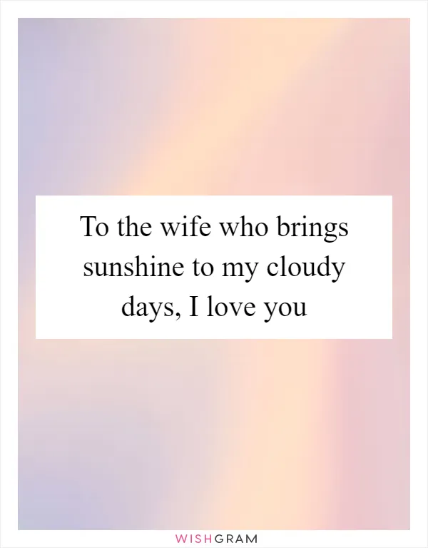To the wife who brings sunshine to my cloudy days, I love you