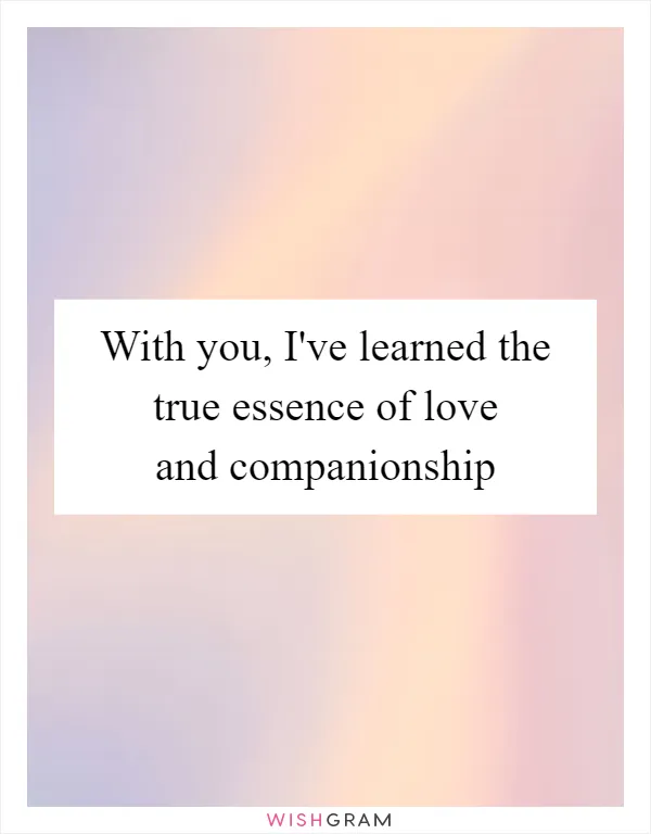 With you, I've learned the true essence of love and companionship