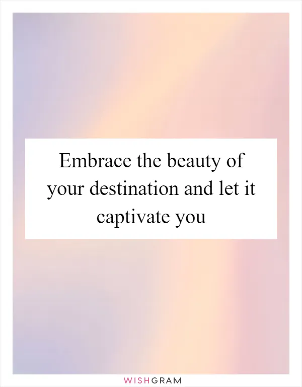 Embrace the beauty of your destination and let it captivate you