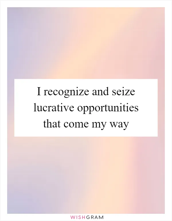 I recognize and seize lucrative opportunities that come my way