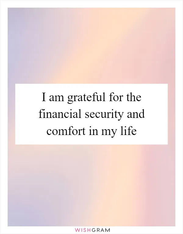 I am grateful for the financial security and comfort in my life