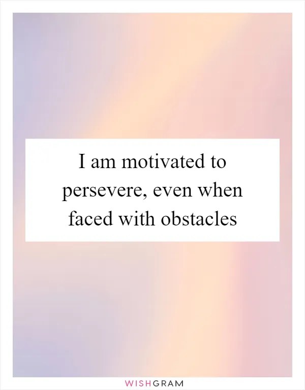 I am motivated to persevere, even when faced with obstacles